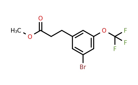 1261653-62-6 | Methyl 3-(3'-bromo-5'-(trifluoromethoxy)phenyl)propionate