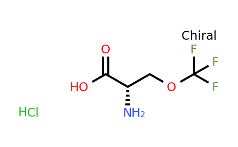 (2S)-2-amino-3-(trifluoromethoxy)propanoic acid Hydrochloride