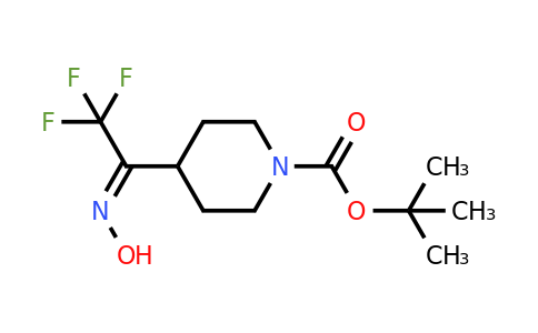 1313739-03-5 | tert-butyl 4-(2,2,2-Trifluoro-1-(hydroxyimino)ethyl)piperidine-1-carboxylate