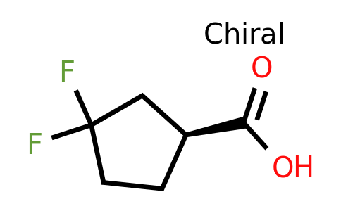 (1S)-3,3-Difluorocyclopentanecarboxylic acid