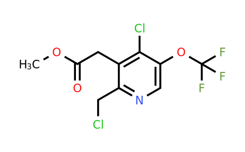 1803704-40-6 | Methyl 4-chloro-2-(chloromethyl)-5-(trifluoromethoxy)pyridine-3-acetate