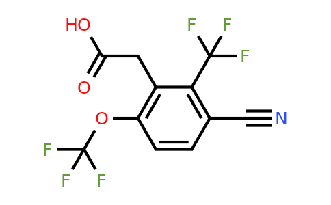 1803706-95-7 | 3-Cyano-6-trifluoromethoxy-2-(trifluoromethyl)phenylacetic acid