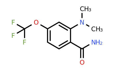 2-Dimethylamino-4-(trifluoromethoxy)benzamide