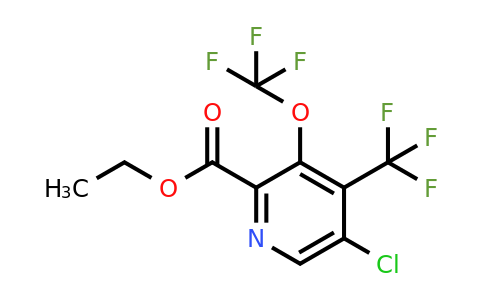 1804640-83-2 | Ethyl 5-chloro-3-(trifluoromethoxy)-4-(trifluoromethyl)pyridine-2-carboxylate