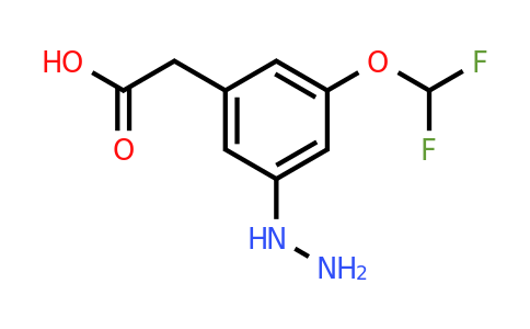 1806651-14-8 | 3-(Difluoromethoxy)-5-hydrazinylphenylacetic acid