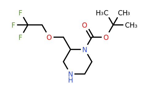 1956331-60-4 | tert-Butyl 2-((2,2,2-trifluoroethoxy)methyl)piperazine-1-carboxylate