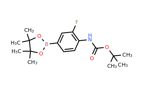 262444-42-8 | tert-Butyl 2-fluoro-4-(4,4,5,5-tetramethyl-1,3,2-dioxaborolan-2-yl)phenylcarbamate