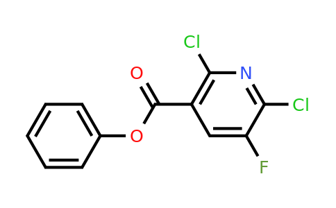 680217-90-7 | phenyl 2,6-dichloro-5-fluoronicotinate