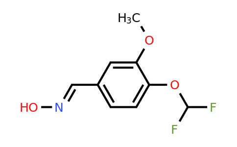 733796-08-2 | (1E)-4-(difluoromethoxy)-3-methoxy-benzaldehyde oxime