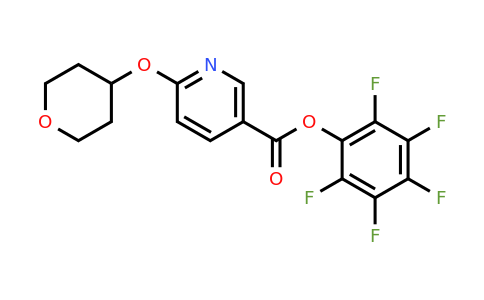 910036-96-3 | Pentafluorophenyl 6-(tetrahydropyran-4-yloxy)nicotinate